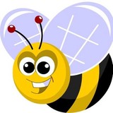 My Local Northwest - Oregon Raw Honey and Washington Honey - Wholesale in Vancouver