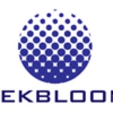 Tekbloom Consulting LLC - Business Consulting in Bellevue