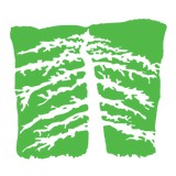 Island Skyline Tree Care - Other in Friday Harbor