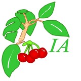 Idyll Arbor Inc - Other in Enumclaw