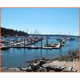 Shearwater Sea Kayak Tours - Other in Eastsound