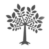 Crown Hill Chiropractic - Chiropractors in Seattle