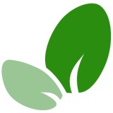 Vittana - Social Clubs in Seattle