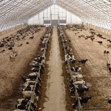 Structures Unlimited LLC - Other in Stratford