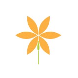 Enchanted Florist - Florists in Green Bay