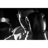 Blast Martial Arts & Fitness - Martial Arts in Madison