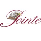 Pointe Hotel & Suites - Other in Minocqua