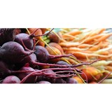 The Csa Coalition Inc - Food & Related Products in Madison