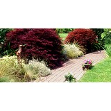 Coughlin Enterprises Inc - Landscape Architects in Sun Prairie