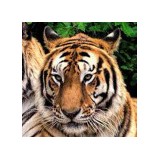 Valley Of The Kings Sanctuary - Other in Sharon