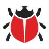 Clean Kill Pest Control - Pest Control in Florence
