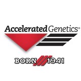 Accelerated Genetics - Other in Westby
