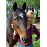 American Standard Bred Adptn - Other in De Soto