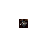Pub - Restaurants in Oconomowoc