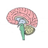 Broader Intelligence - Other in Belgium
