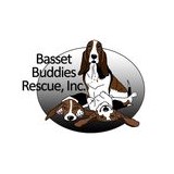 Basset Buddies Rescue Inc - Other in Muskego