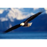 Us Freedom Biofuel - Other in Mosinee