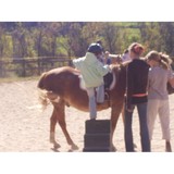 Spring Creek Farm - Other in Waupaca