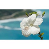 Jolly Bob's - Restaurants in Madison