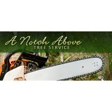 A Notch Above Tree Service - Other in Sharon