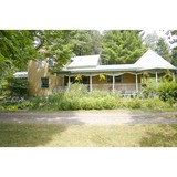 Pine - Other in Reedsburg