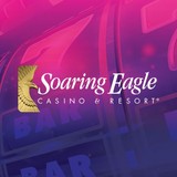 Soaring Eagle Dairy LLC - Other in Newton