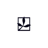 Willow Creek Press - Other in Minocqua