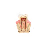 Pat Crawford DDS - Dentists in Kenosha