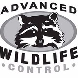Advanced Wildlife Control - Pest Control in Mequon