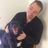 Dow David DC - Chiropractors in Madison
