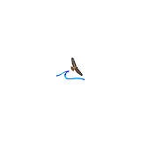 Oceanhawk Counseling Altrntvs - Other in Stoughton