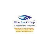 Eye Blue Group LLC - Other in Waterford