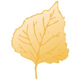 Goldleaf Development - Apartments in Madison