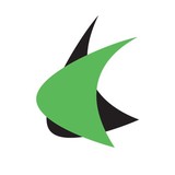 Action Insurance - Insurance in Madison