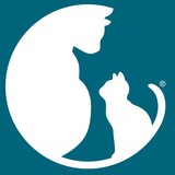 Alley Cat Inc - Other in Lake Geneva