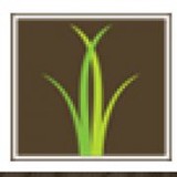 Spring Creek Dental - Dentists in Hudson