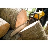 Dave's Tree Service - Tree Services in Holmen