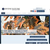 Divine Nature - Florists in Green Bay