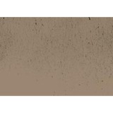 Lake Wind Gymnastics Center Inc - Other in Waterford