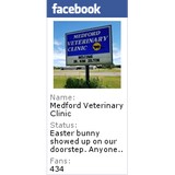 Medford Veterinary Clinic - Other in Medford