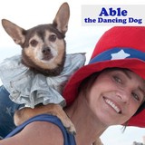 Amiable Dog Training - Pet Services in Milwaukee