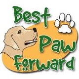Best Paw Forward Inc - Other in Hartland