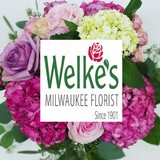 Welkes House of Roses & Flower - Other in Elm Grove