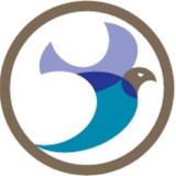 Insurity Inc - Other in Hartland