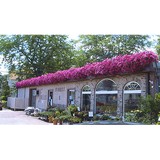 Falls Florist - Other in Black River Falls