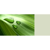 Releaf Bodywork Therapy LLC - Rehabilitation Center in Madison