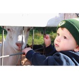 Rainbow Ridge Farms Bed and Breakfast - Other in Onalaska