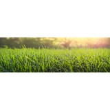 Kirchberg Repair Inc - Lawn Mowers in Columbus