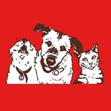 Stella & Chewy's - Other in Muskego