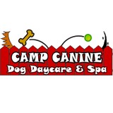 Camp Canine Inc - Pet Services in Milwaukee